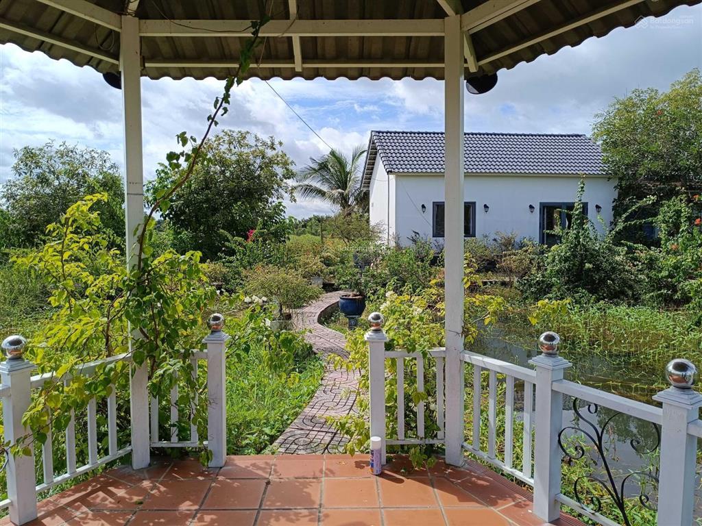 Chính chủ bán đất 520m2/2.4tỷ xã phú hữu cách phà quận 2 chỉ 2km. đường xe hơi, khu dân cư, shr