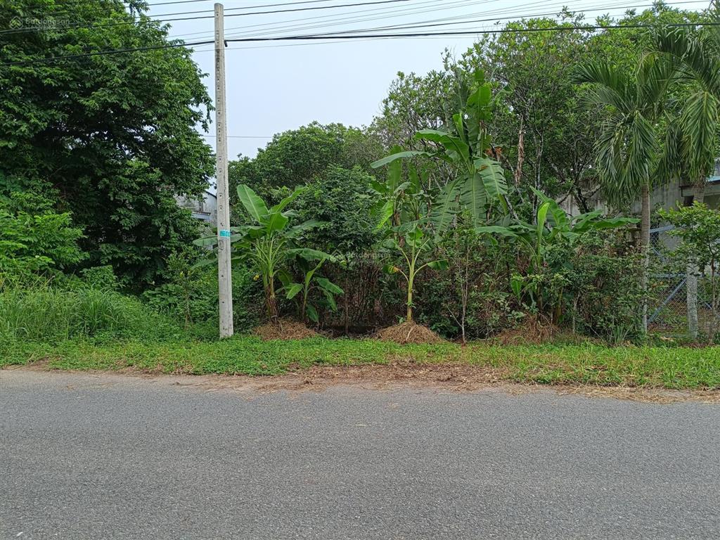 Mặt tiền nhựa đào thị phấn trung tâm huyện. 1315m2 qh ont, khu dân cư đông, kẹt bán 6.5tr/m2, shr