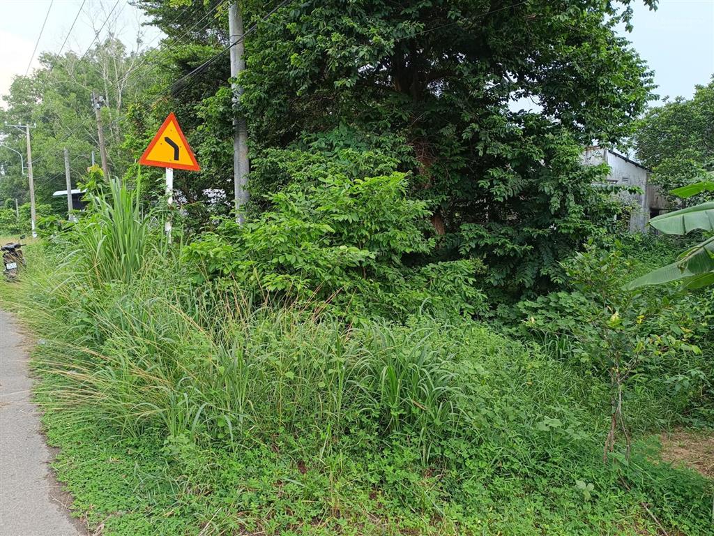 Mặt tiền nhựa đào thị phấn trung tâm huyện. 1315m2 qh ont, khu dân cư đông, kẹt bán 6.5tr/m2, shr