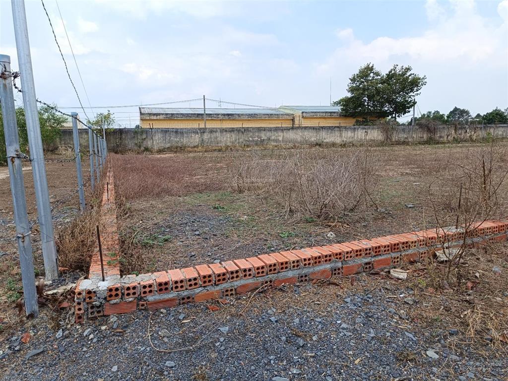 Đất cạnh 25c đi sân bay, cách q2 chỉ 9km. 1.814m2 (400m2 thổ) xây dựng tự do, shr, đối diện kcn