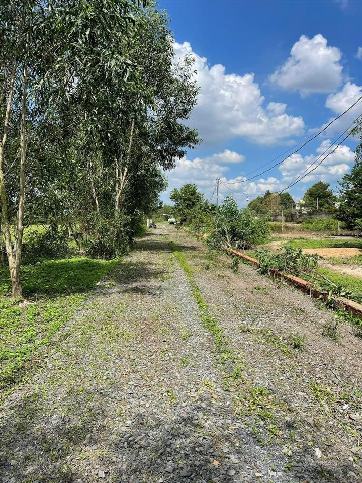 Đất cạnh 25c đi sân bay, cách q2 chỉ 9km. 1.814m2 (400m2 thổ) xây dựng tự do, shr, đối diện kcn