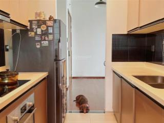 Bán nhanh căn 3 phòng ngủ  giá tốt nhất thị trường chỉ 18 tỷ  đang có sẵn hợp đồng thuê