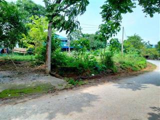 Chính chủ cần bán gấp 472m2, ngay cổng sau serena resort tại sào báy, kim bôi