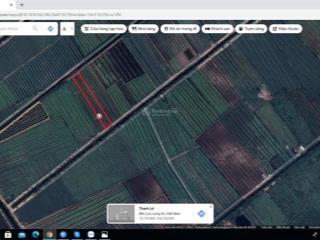 Bán 2.845m2 đất  ấp 4, thạnh lợi, bến lức, long an. giá 2.2 tỷ