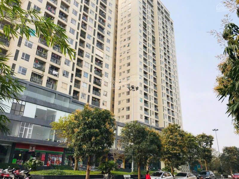 Bán căn thương mại 70m cc tht new city, hoài đức.  0374 880 ***