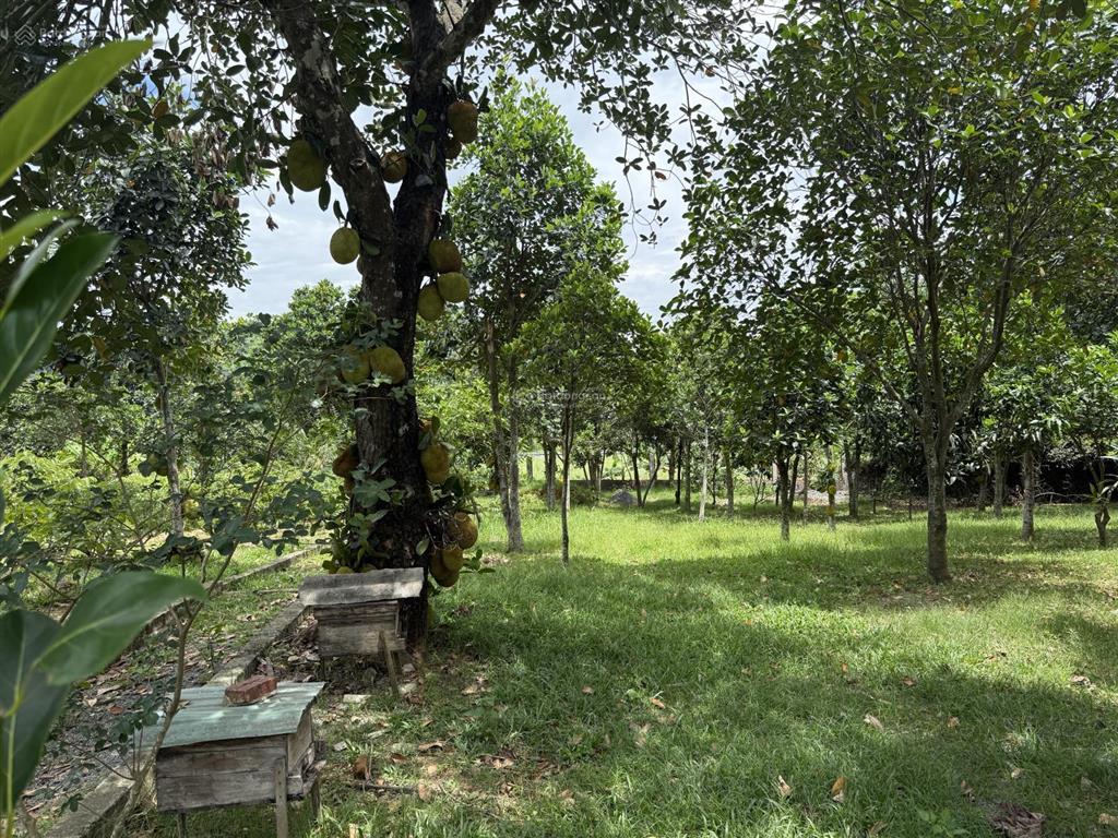 Bán 4710m đất nghỉ dưỡng tại lương sơn.