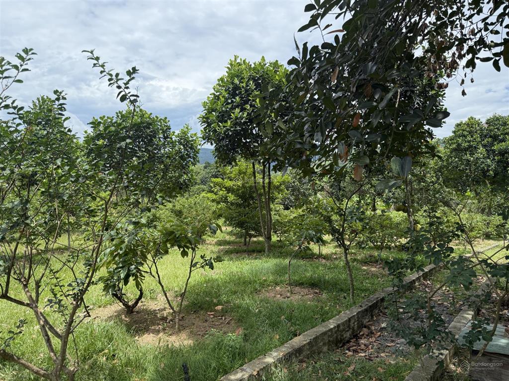 Bán 4710m đất nghỉ dưỡng tại lương sơn.