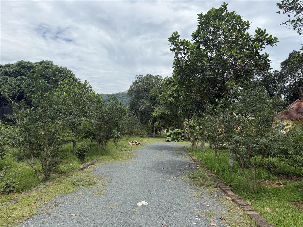 Bán 4710m đất nghỉ dưỡng tại lương sơn.