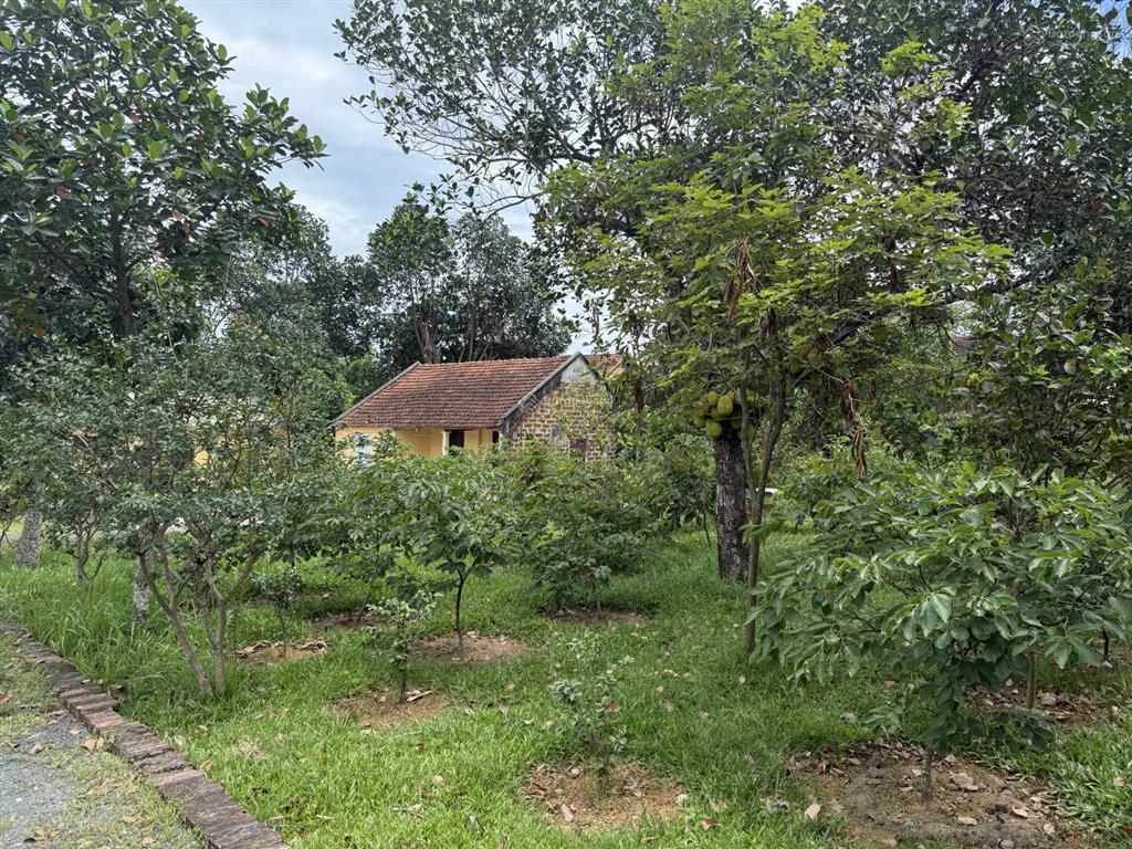 Bán 4710m đất nghỉ dưỡng tại lương sơn.