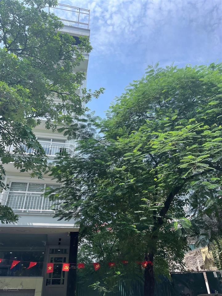 Bán đất phố giải phóng vị trí đẹp  khu vực sầm uất nhất phố. địa chỉ giải phóng