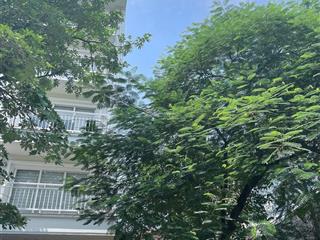 Bán đất phố giải phóng vị trí đẹp  khu vực sầm uất nhất phố. địa chỉ giải phóng