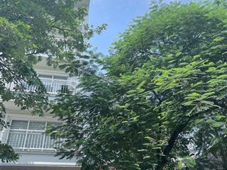 Bán đất phố giải phóng vị trí đẹp  khu vực sầm uất nhất phố.