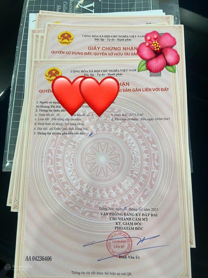 Chính chủ bán nhà vườn trái cây  sầu riêng siêu vip  0904 433 ***