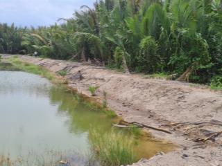 Bán đất nông nghiệp ở hiệp phước, nhà bè giá 1,25 triệu/m²