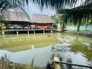 Nhà vườn nghỉ dưỡng 650m2 nhơn đức  nhà bè, sổ hồng riêng xe hơi chạy vào tới đất