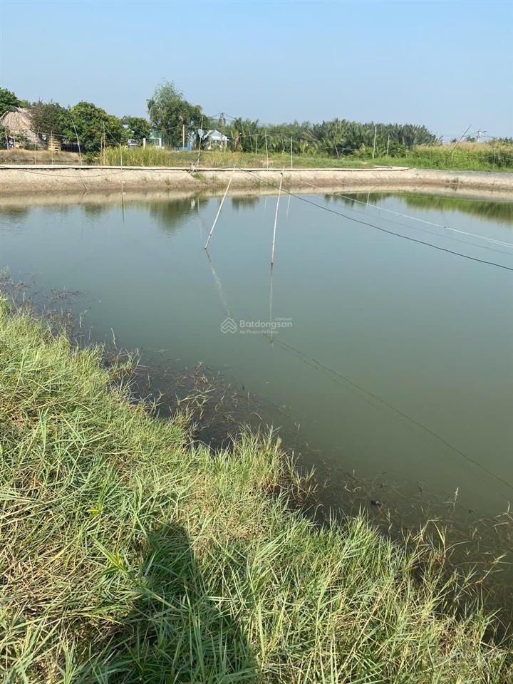 Bán 3436m2 đất nông nghiệp thanh niên xung phong, xã hiệp phước, nhà bè