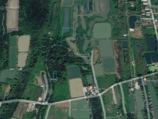 Bán gấp 2.747m2 đất trồng cln gần đường 12 ngô quang thắm, nhà bè giá chỉ 1.7tr/m2
