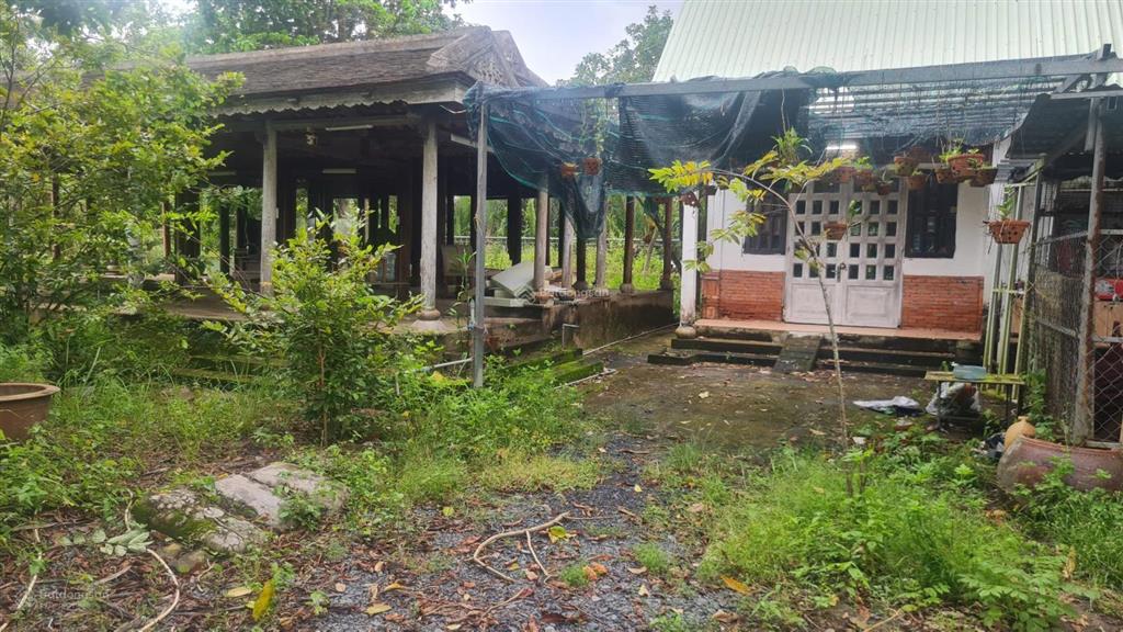 Bán đất vườn 2.800m2 mặt tiền đường 12m & mặt tiền sông long thới, nhà bè