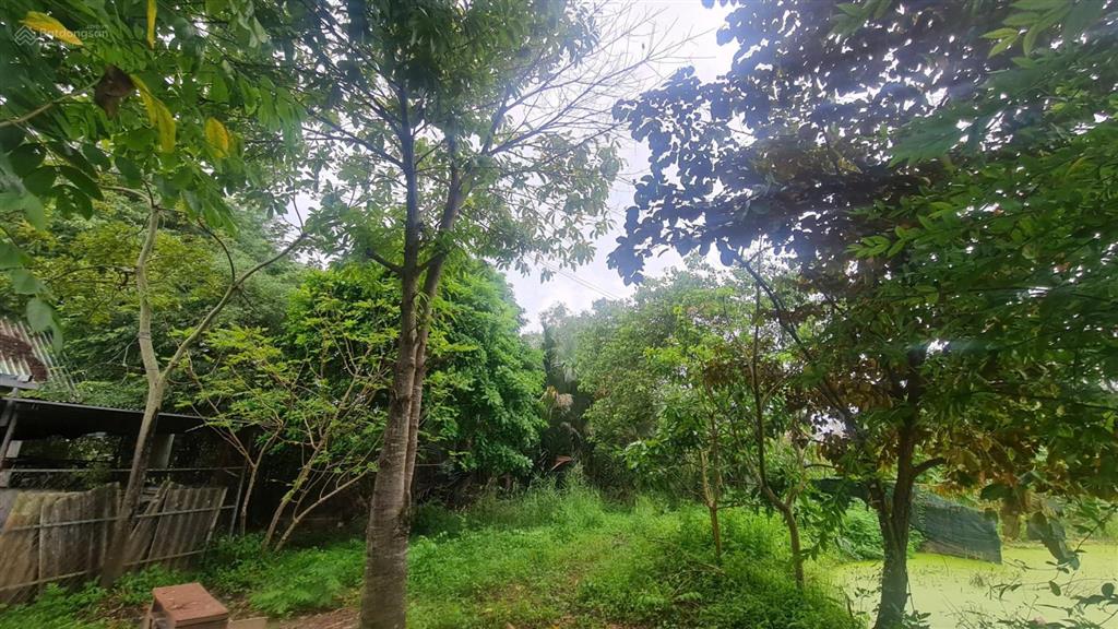 Bán đất vườn 2.800m2 mặt tiền đường 12m & mặt tiền sông long thới, nhà bè