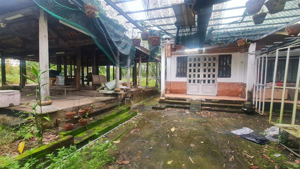 Bán đất vườn 2.800m2 mặt tiền đường 12m & mặt tiền sông long thới, nhà bè