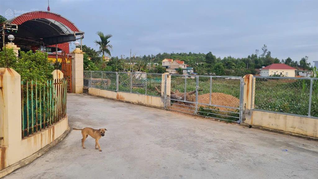 Bán đất dt 8000m2, gửi nhà đầu tư chiến lược