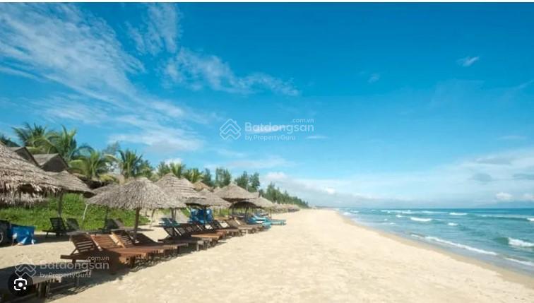 Bỏ phố về hội an  sở hữu mảnh đất đẹp tại cẩm thanh, hội an