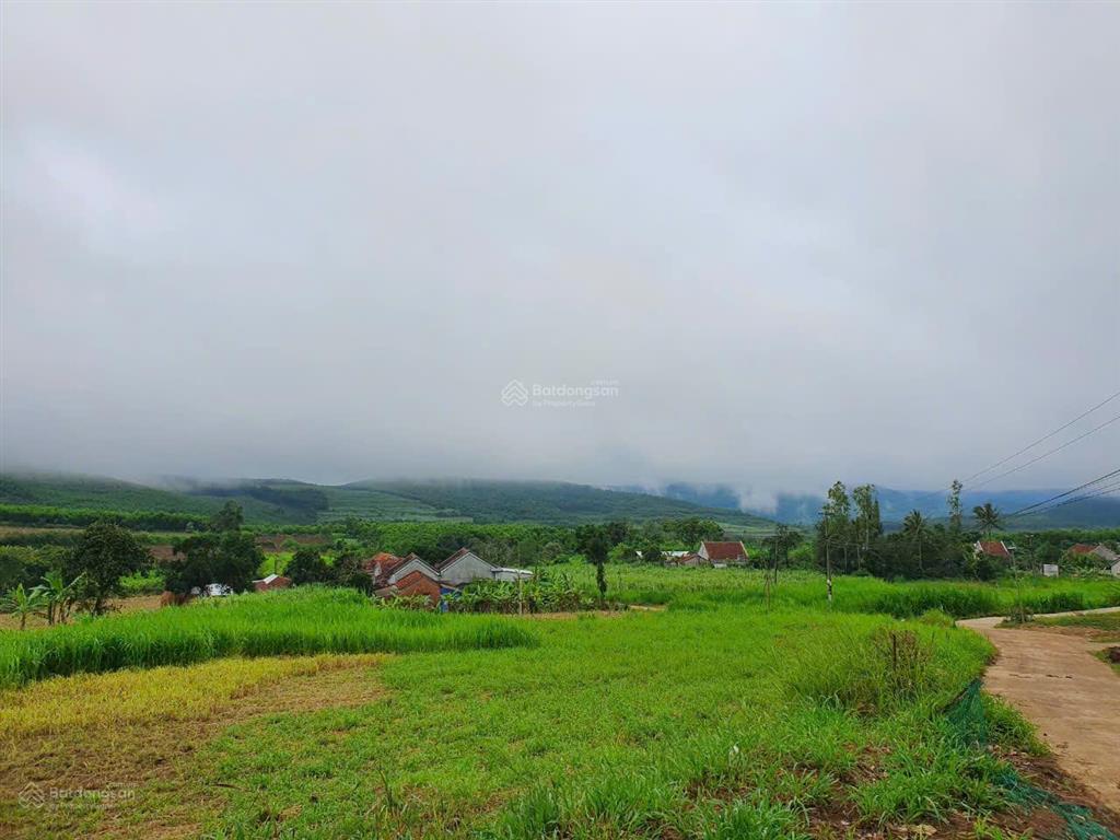 Bán đất tại giáp an thọ  tuy an tây đắk lắk, cao nguyên vân hòa, giá cực chất 1580 triệu, 1950m2