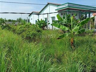 Đât vườn Thạnh Hoà, Bến Lức