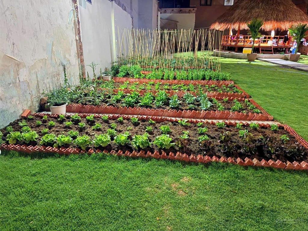 Bán 341m² đất full thổ cư tặng nhà vườn xanh mát trung tâm ba cu, vũng tàu