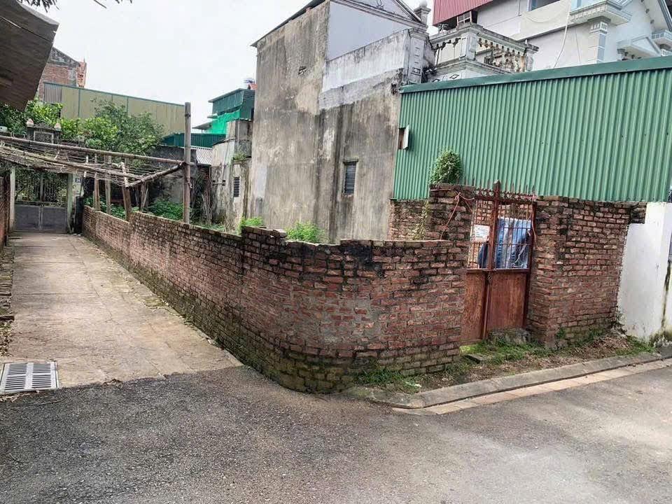 ÔTÔ THÔNG, LÔ GÓC 92M2 KIM SƠN, GIA LÂM, MT 5M, HẬU 5M, GẦN CHỢ, TRƯỜNG HỌC, GIÁ 65 TR/M2