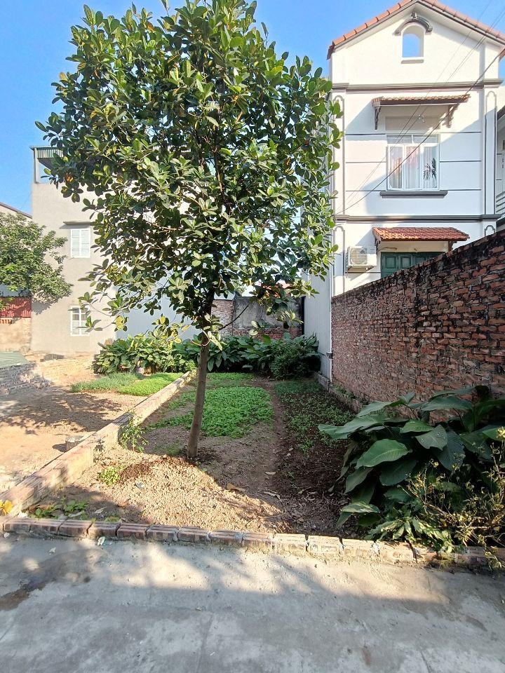 CHỈ HƠN 2 TỶ - 61M2 ĐƯỜNG THÔNG, ĐẤT NỞ HẬU - KHU PHỐ DOÃN THƯỢNG, PHƯỜNG XUÂN LÂM