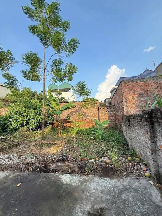 BÁN 46M2 ĐẤT KIM SƠN, XÃ THUẬN AN, HN – NGÕ NÔNG, CÁCH 20M LÀ NHÀ VĂN HÓA, CHỈ 2.5 TỶ