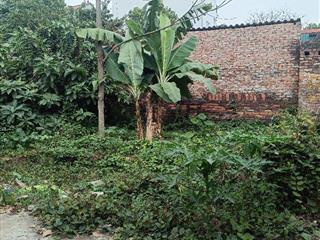 BÁN 46M2 ĐẤT KIM SƠN, XÃ THUẬN AN, HN – NGÕ NÔNG, CÁCH 20M LÀ NHÀ VĂN HÓA, CHỈ 2.5 TỶ