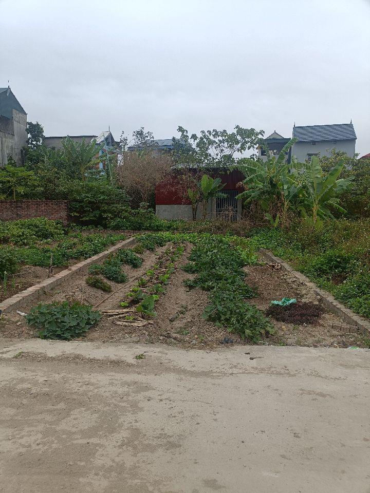 NHÀ TRỌ SAN SÁT KCN THUẬN THÀNH 2 - BÁN 54M2 ĐƯỜNG 10M ÔTÔ TRÁNH NHAU, GIÁ CHỈ 1.97 TỶ