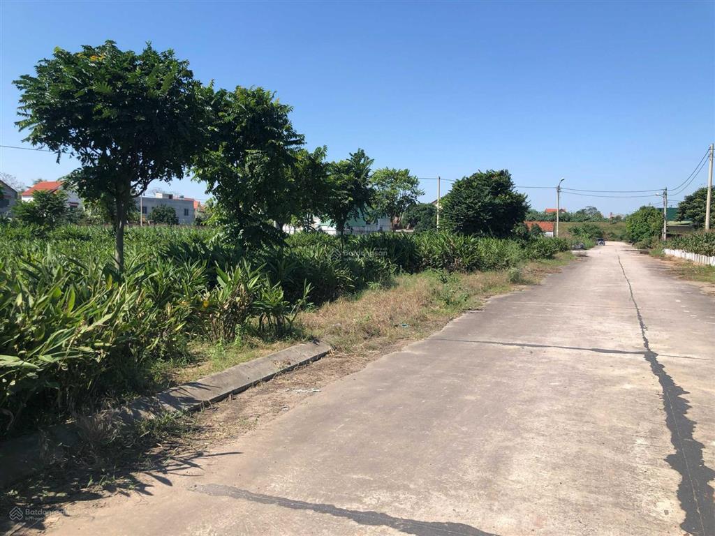 Cần bán 81m2 khu đấu giá đình tổ, vị trí trung tâm, view vườn hoa, bể bơi, đẹp, vị trí kd