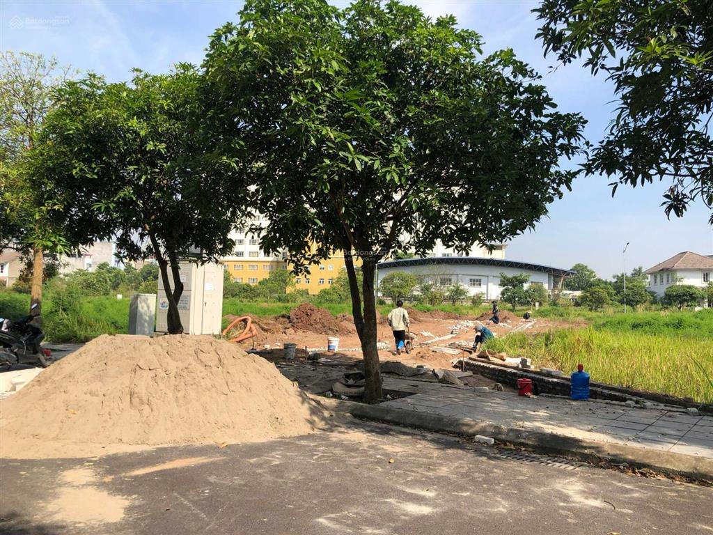 Bán 300m2 biệt thự kđt khai sơn, phường xuân lâm, cần gấp