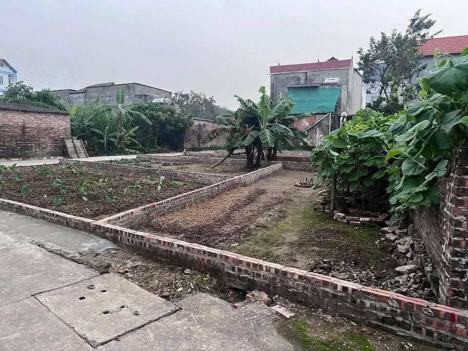QUỐC LỘ 17, CHỢ DÂU, CẦN BÁN 47M2 PHƯỜNG SONG LIỄU, BẮC NINH, CHỈ 1.45 TỶ