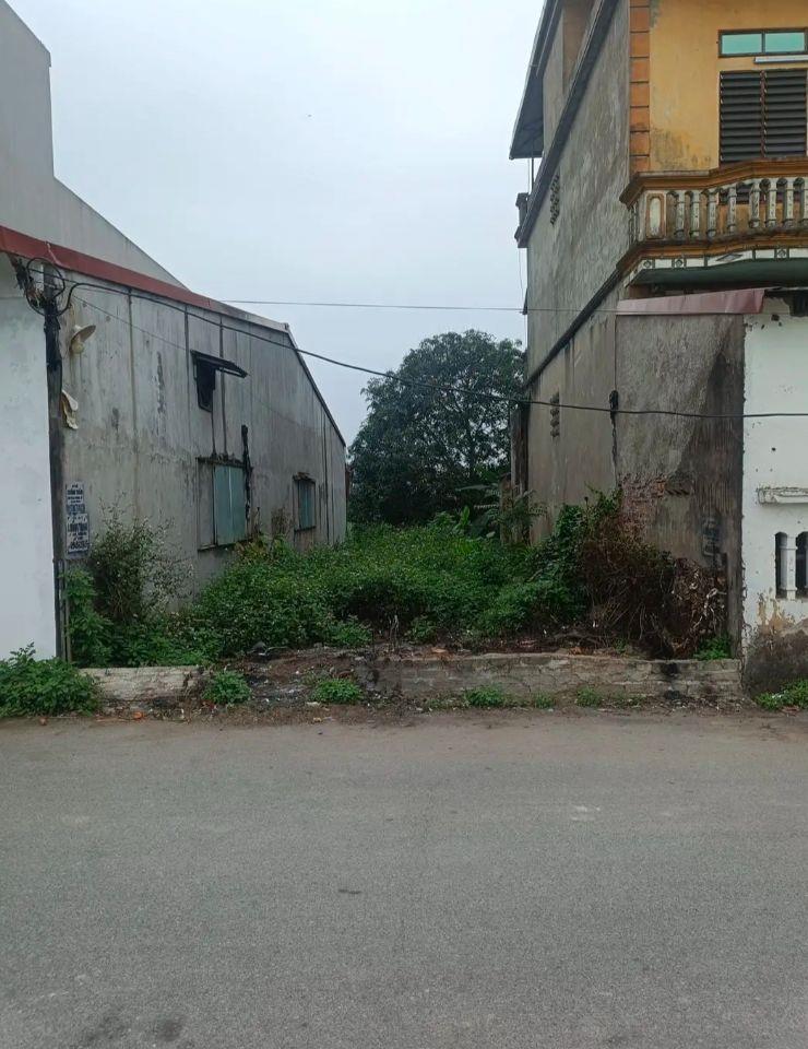 107m2 mặt đường trục chính Xuân Lê, Song Liễu MT 5M, đường 8m, giá 6.2 Tỷ