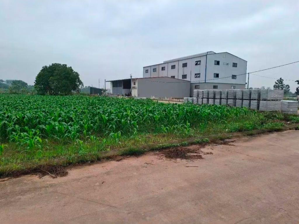 Tôi cần bán 81m2 Đấu giá Đình Tổ, phường Trí Quả, MT 5M, Nhìn Vườn Hoa, Đường 8m, Giá 3 Tỷ