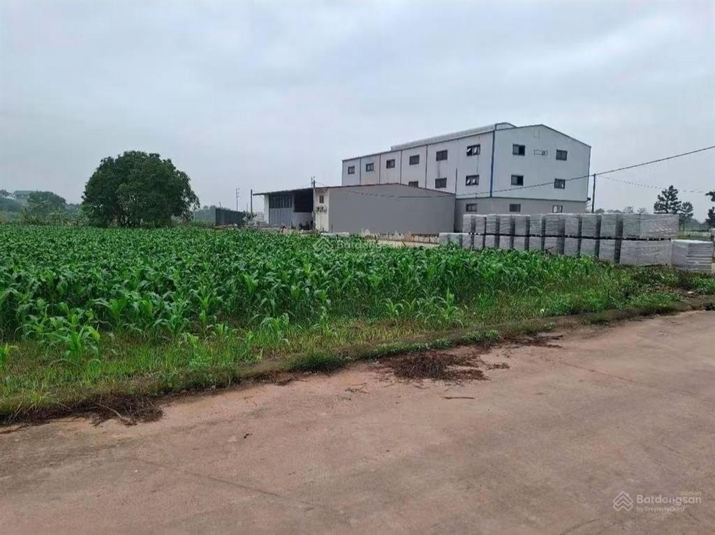 Tôi cần bán 81m2 đất đấu giá đình tổ, phường trí quả, mt 5m, nhìn vườn hoa, đường 8m, giá 3 tỷ