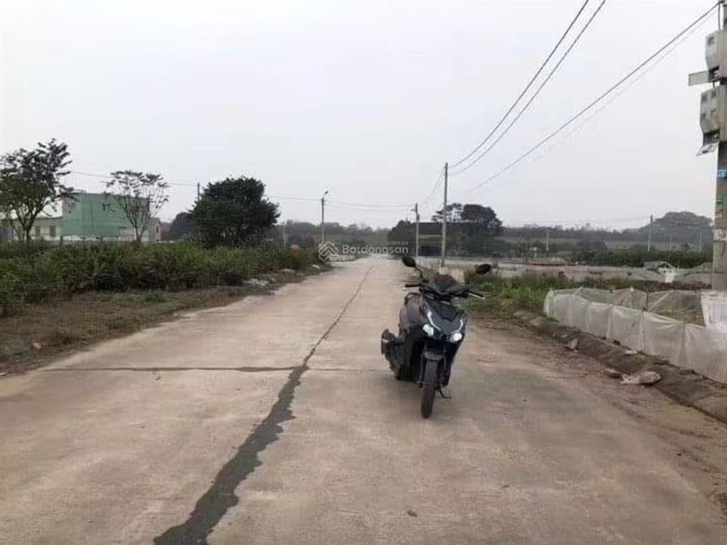 Tôi cần bán 81m2 đất đấu giá đình tổ, phường trí quả, mt 5m, nhìn vườn hoa, đường 8m, giá 3 tỷ