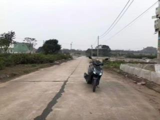 Tôi cần bán 81m2 đất đấu giá đình tổ, phường trí quả, mt 5m, nhìn vườn hoa, đường 8m, giá 3 tỷ