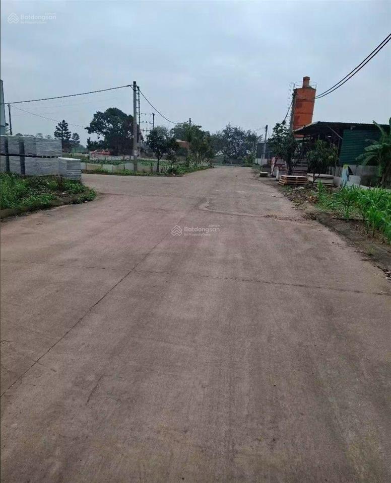Tôi cần bán 81m2 đất đấu giá đình tổ, phường trí quả, mt 5m, nhìn vườn hoa, đường 8m, giá 3 tỷ