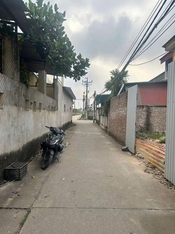 ĐƯỜNG Ô TÔ TẢI THÔNG, LÔ GÓC 55M2, MT 4.8M, NỞ HẬU, KHU PHỐ ĐỨC HIỆP, SONG LIỄU, 2 TỶ 750