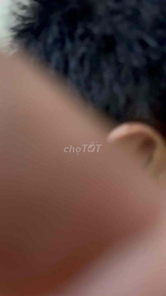 cho thuê nhà mặt phố Thái Hà