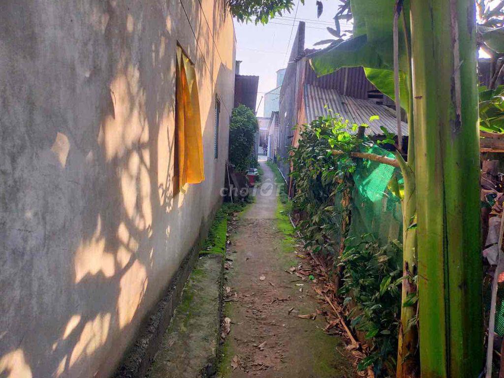 Cho thuê nhà nguyên căn hẻm, yên tĩnh, mát mẻ