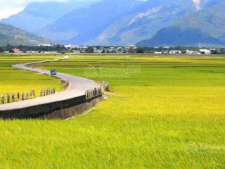 Bán đất trung tâm lagi phường phước hội, diện tích khoảng 1.737m² (70m x 40m)