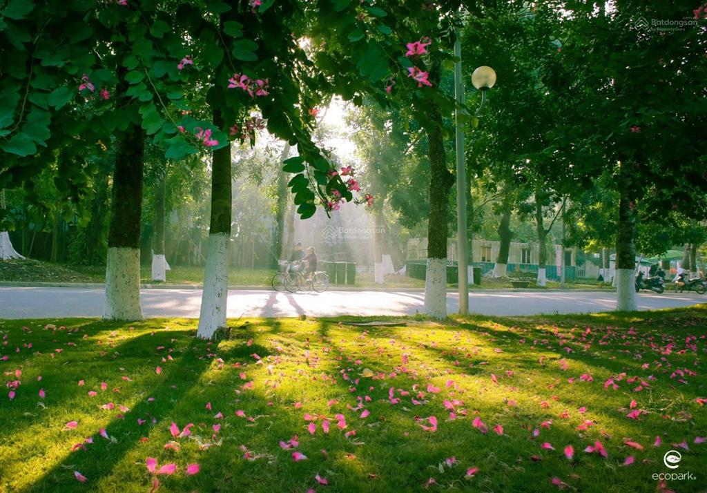 Cần bán biệt thự song lập vườn mai kđt ecopark hưng yên dt 162m2 nhà hoàn thiện  0913 969 ***