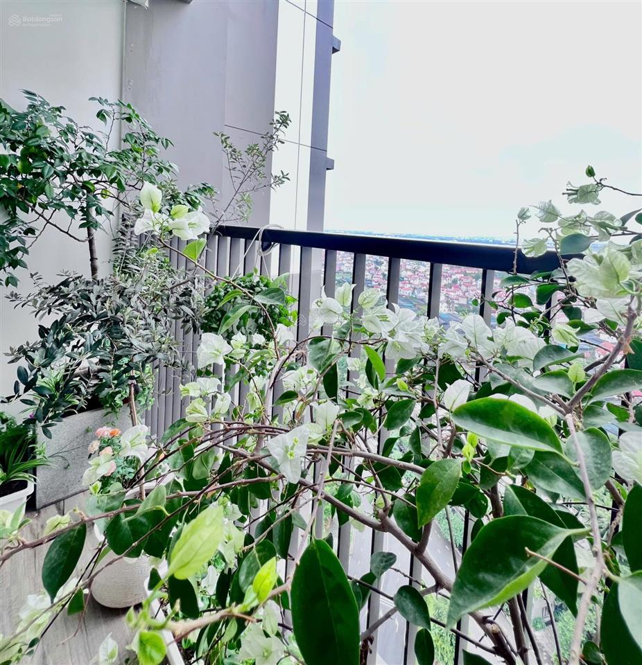 Bán gấp căn hộ cc cao cấp haven park kđt ecopark, diện tích 58m2 2pn2vs hưng yên  0913 969 ***