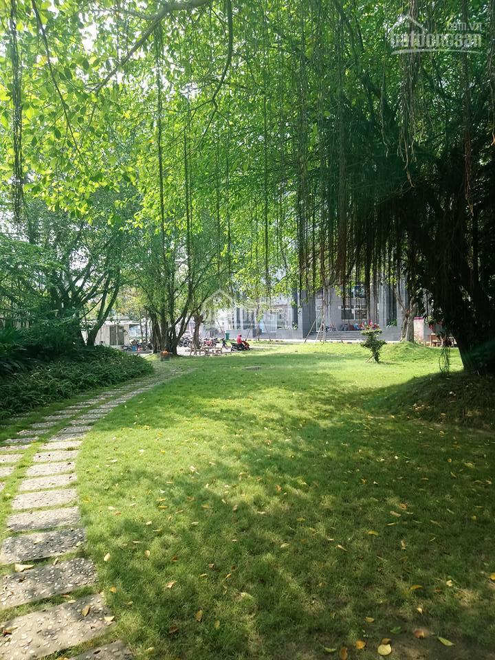 Bán căn hộ 69m2, 2pn, 2 toilet, cc dream home gò vấp, 2.3 tỷ, tel 0933 002 ***